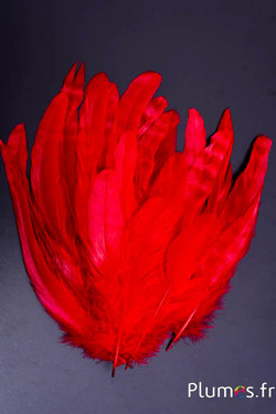 Coq fouet chinchilla blanchi - 13-18 cm - rouge brun